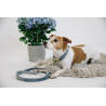 Guinzaglio per cane Velvet 120 cm Kentucky - Azzurro chiaro