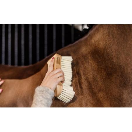 Tappo con setole morbide Kentucky