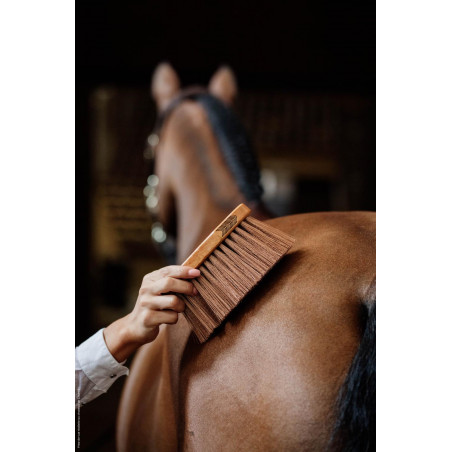 Tappo medio medium Kentucky