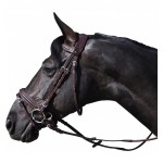 Briglia Hickstead Flags & Cup