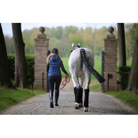 Cotoni americani Kentucky