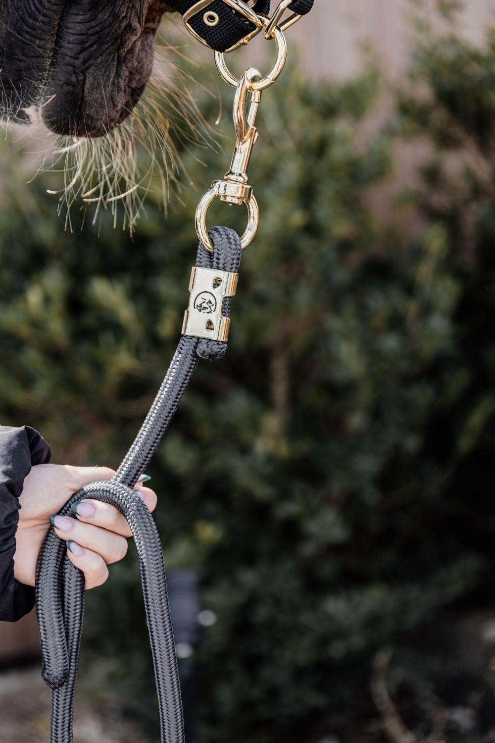 Longe Rope Basic Kentucky Nero