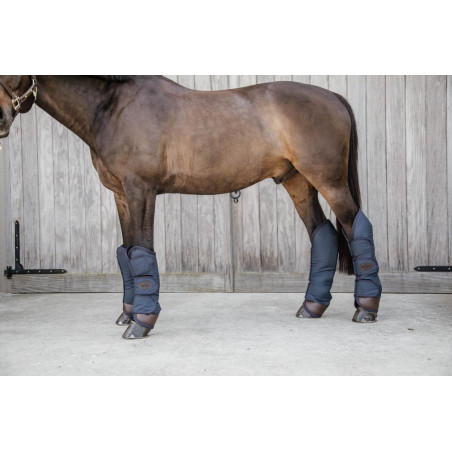 Ghette da trasporto Kentucky