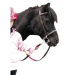 Briglia Educativa Canter Shetland