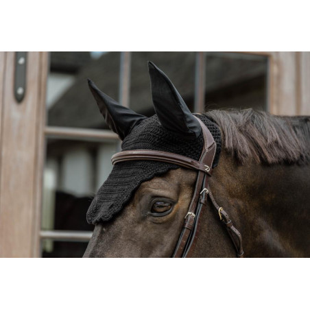 Cuffia Wellington Wave Kentucky