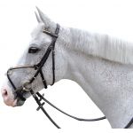 Briglia con chiusura incrociata Canter