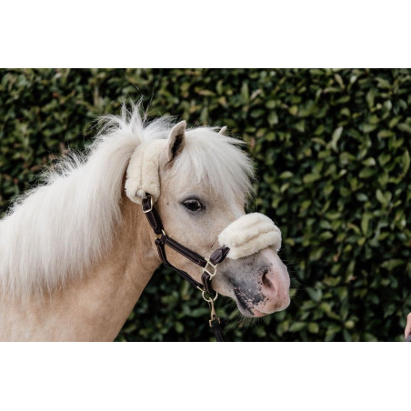 Capezzina in pelle con montone Kentucky