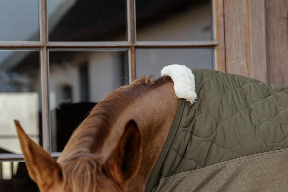 Trasporto Combo Cooler in Pile Kentucky Verde abete