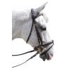 Bridon Pull Back Euro Canter - Marrone