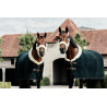 Camiccia Asciugante Show Fleece Heavy Kentucky - Verde abete