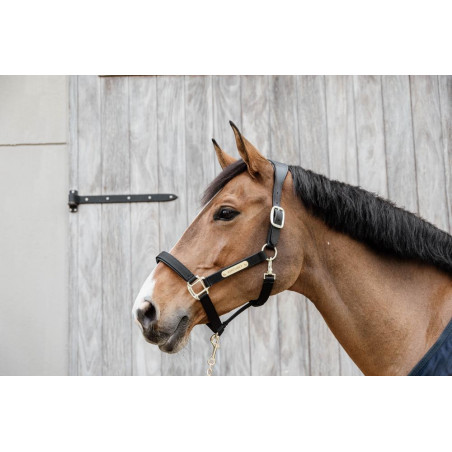 Capestro Anatomico in Nylon Kentucky