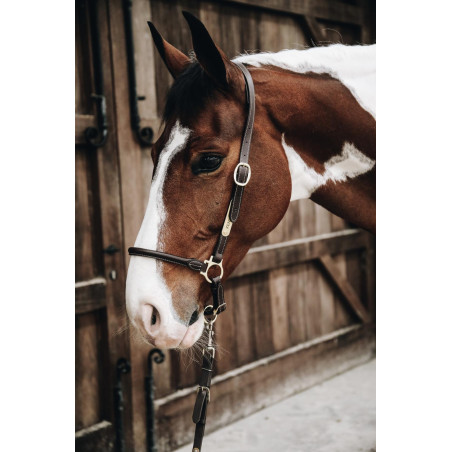 Capezzina da grooming in cuoio Kentucky