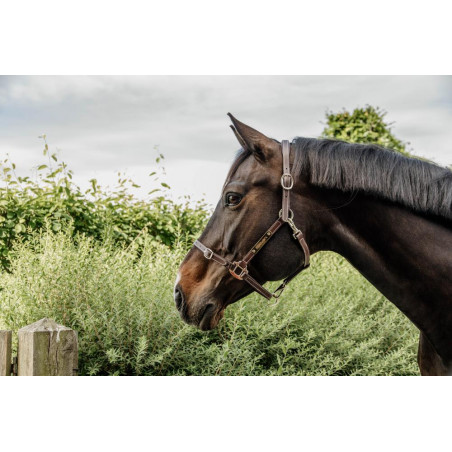 Capezza Flessibile Kentucky