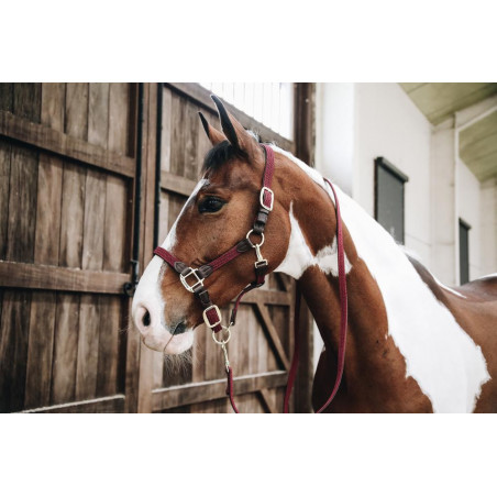 Lunga Intrecciata in Nylon Kentucky