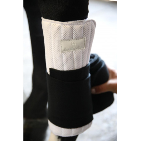 Sottofasce da lavoro Absorb Kentucky