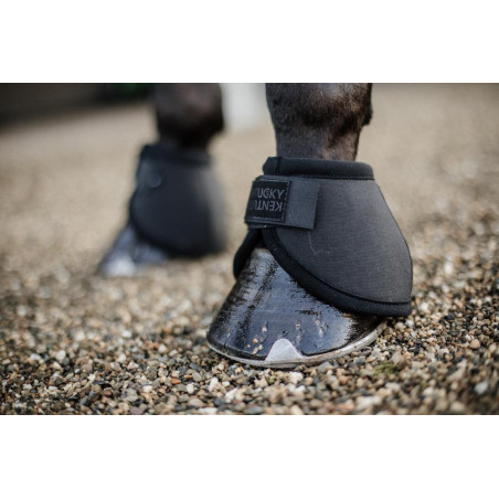 Campanelle paranocche Kentucky