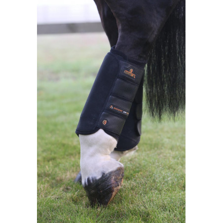 Stinchiere posteriori Air Tech Eventing Kentucky