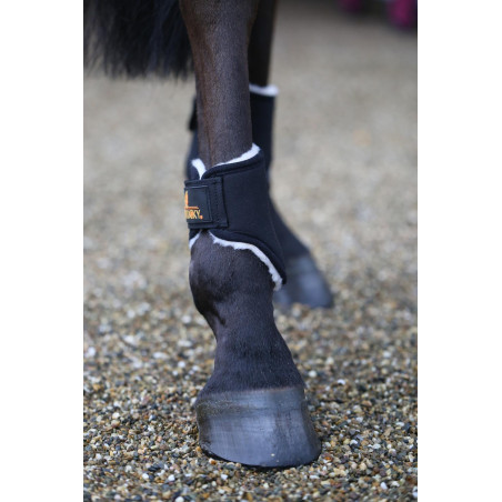 Paragambe posteriori corte Solimbra chiuse Kentucky