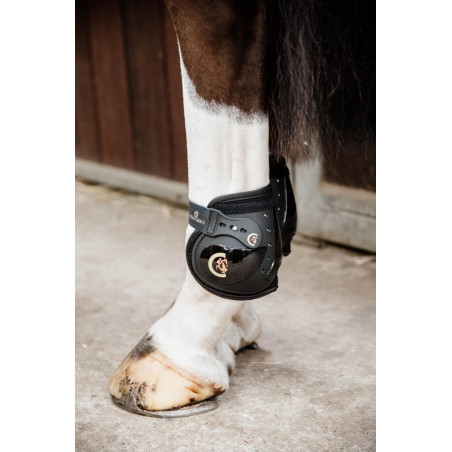 Paratendini posteriori elastici Moonboots Kentucky