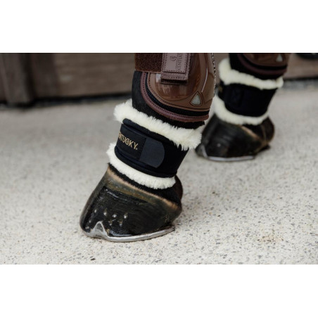 Parapascorto in montone Kentucky