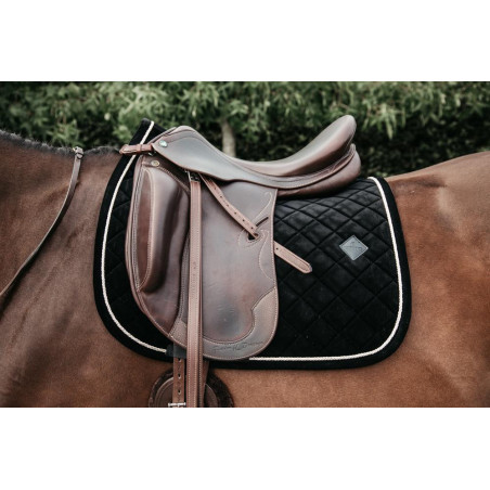 Sottosella Corduroy dressage Kentucky