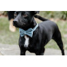 Papillon in Velluto Kentucky - Azzurro chiaro