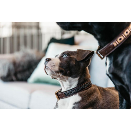 Collare per cane con perle fatte a mano Kentucky