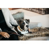 Collare per cane con perle fatte a mano Kentucky - Arancione puro
