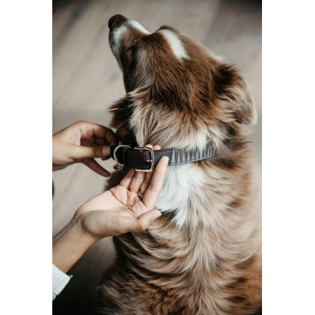 Collare per cane Triangle Kentucky