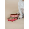 Collare per cane in pelle vegana Kentucky - Rosso