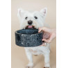 Ciotola per cane in pietra Terrazzo Kentucky - Nero