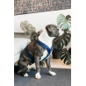 Pettorina per cane Active Velvet Kentucky - Blu navy