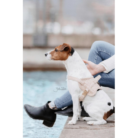 Imbracatura per cane Body Safe Wool Kentucky