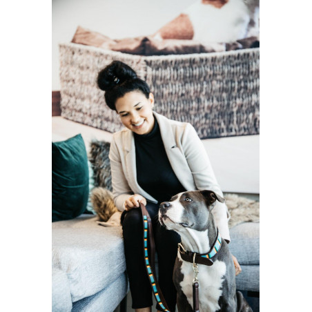 Guinzaglio per cane in perle fatte a mano Kentucky