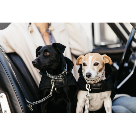 Guinzaglio per cane Pied-de-poule Kentucky