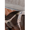 Guinzaglio per cane Teddy Fleece 200 cm Kentucky - Beige