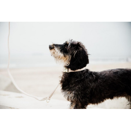 Guinzaglio per cane Wool Corto Kentucky