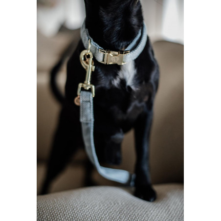 Guinzaglio per cane Wool Longue Kentucky