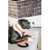 Lascia Gomma Morbida Kentucky - Arancione neon
