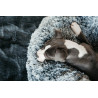 Letto per cane comfort Donut Kentucky - Grigio