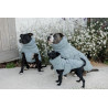 Cappotto invernale per cani Pina Kentucky - Blu polveroso