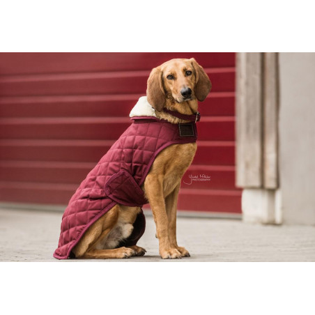 Cappotto per cane Original Kentucky