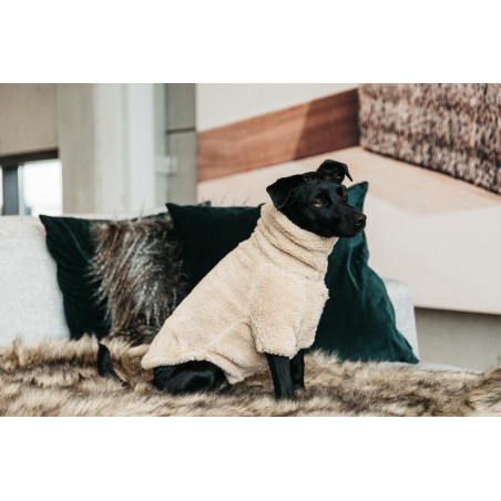 Maglione per Cane Teddy Fleece Kentucky