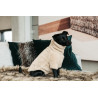 Maglione per Cane Teddy Fleece Kentucky - Beige