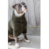 Maglione per Cane Teddy Fleece Kentucky - Verde abete