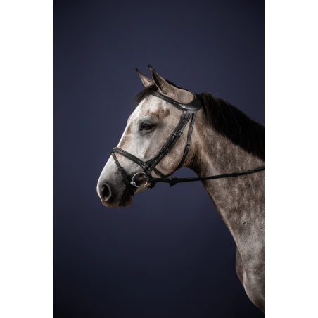 Briglia Différence New English Collection by Dy'on