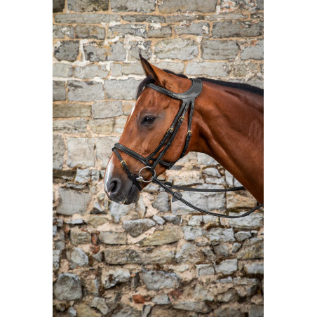 Briglia Différence D Collection by Dy'on