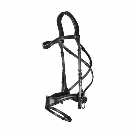 Briglia D Motion New English Collection by Dy'on