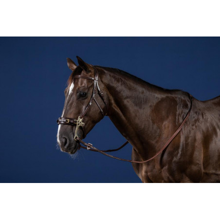 Hackamore US Collection by Dy'on