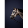 Hackamore Bridon New English Collection by Dy'on - Marrone